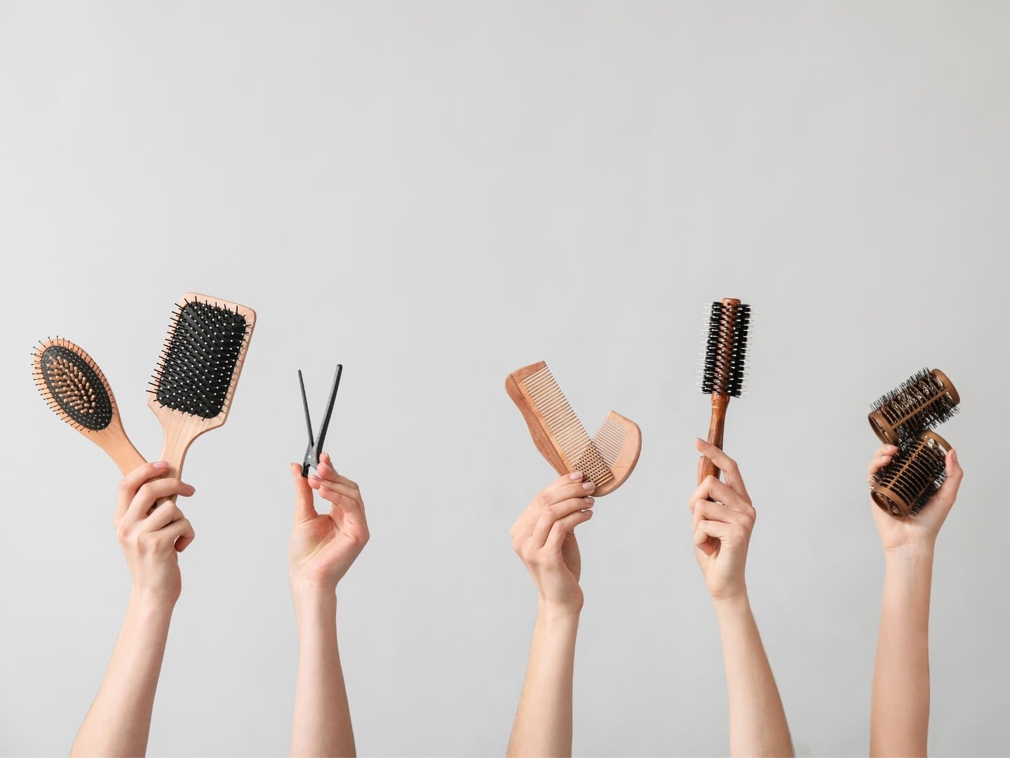 GALERÍA DE TRÁMITE (3)