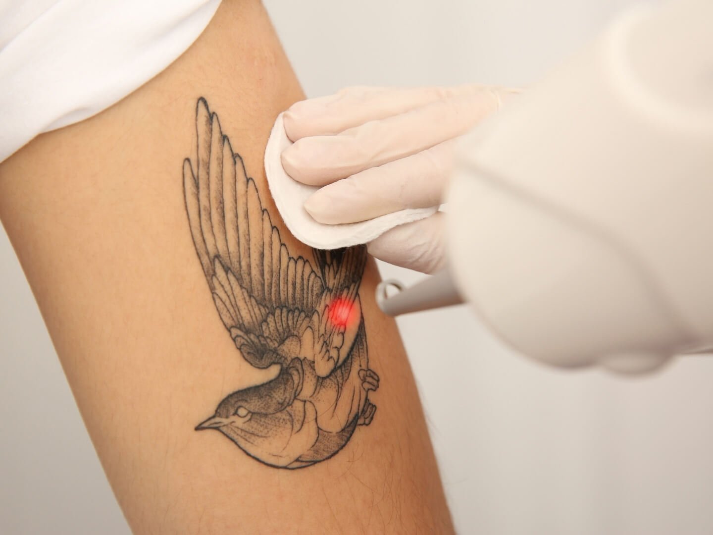 GALERÍA DE TRÁMITE (9)